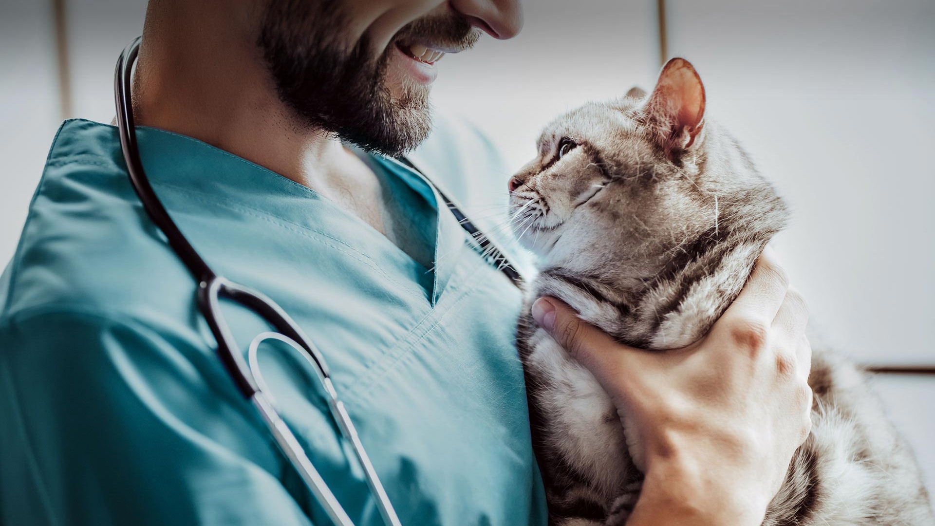 Gülşehir Veteriner